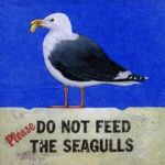 Please do not feed the seagulls